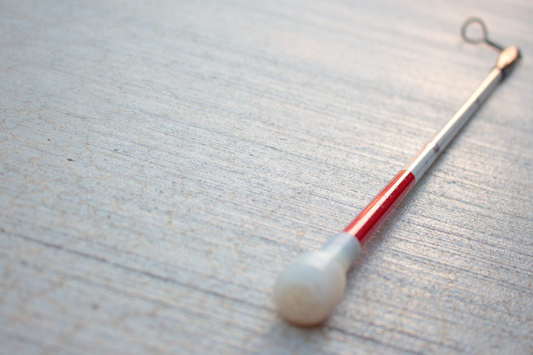 Slepecká hůl | Foto: Shutterstock