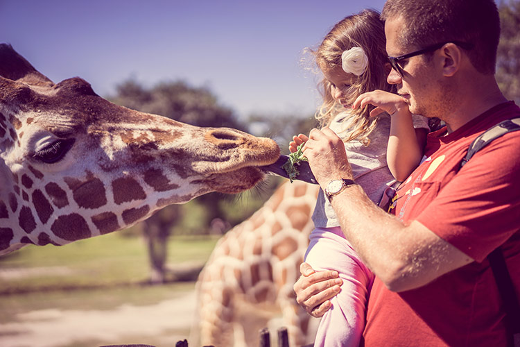 S dětmi do ZOO | Foto: Shutterstock