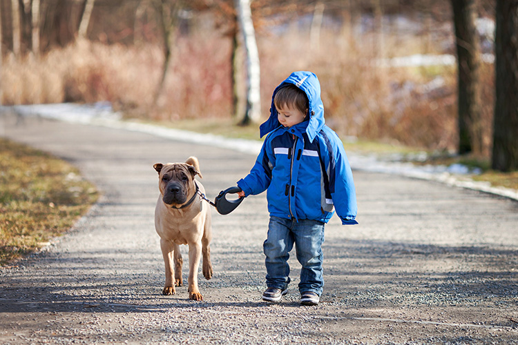 Pes a dítě | Foto: Shutterstock